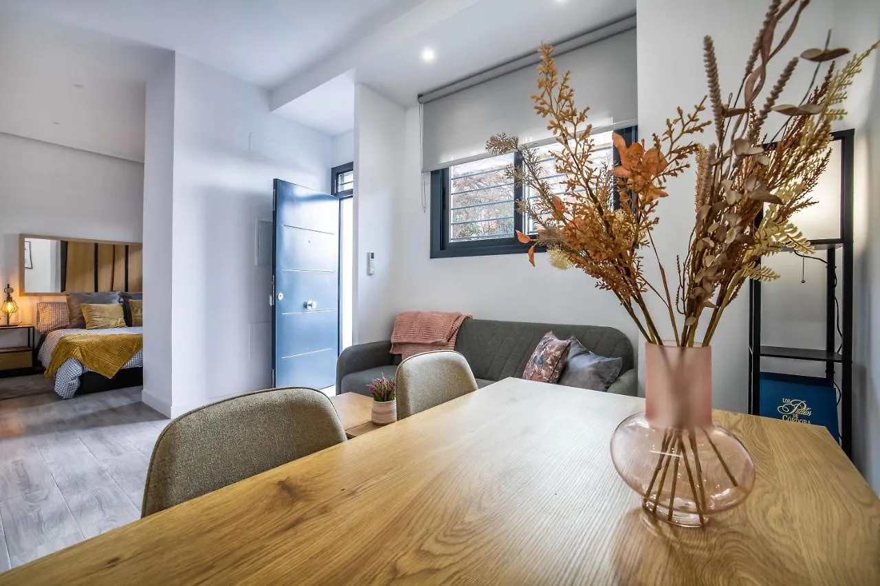 Garesc Lofts Apartment Cordoba