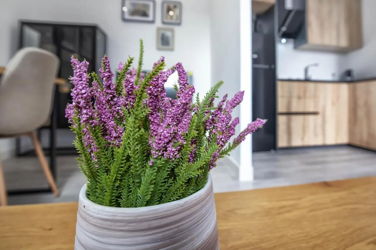 Garesc Lofts Apartment Cordoba