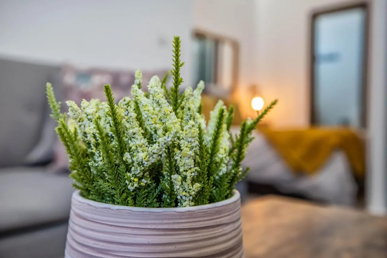 Garesc Lofts Apartment Cordoba Spain