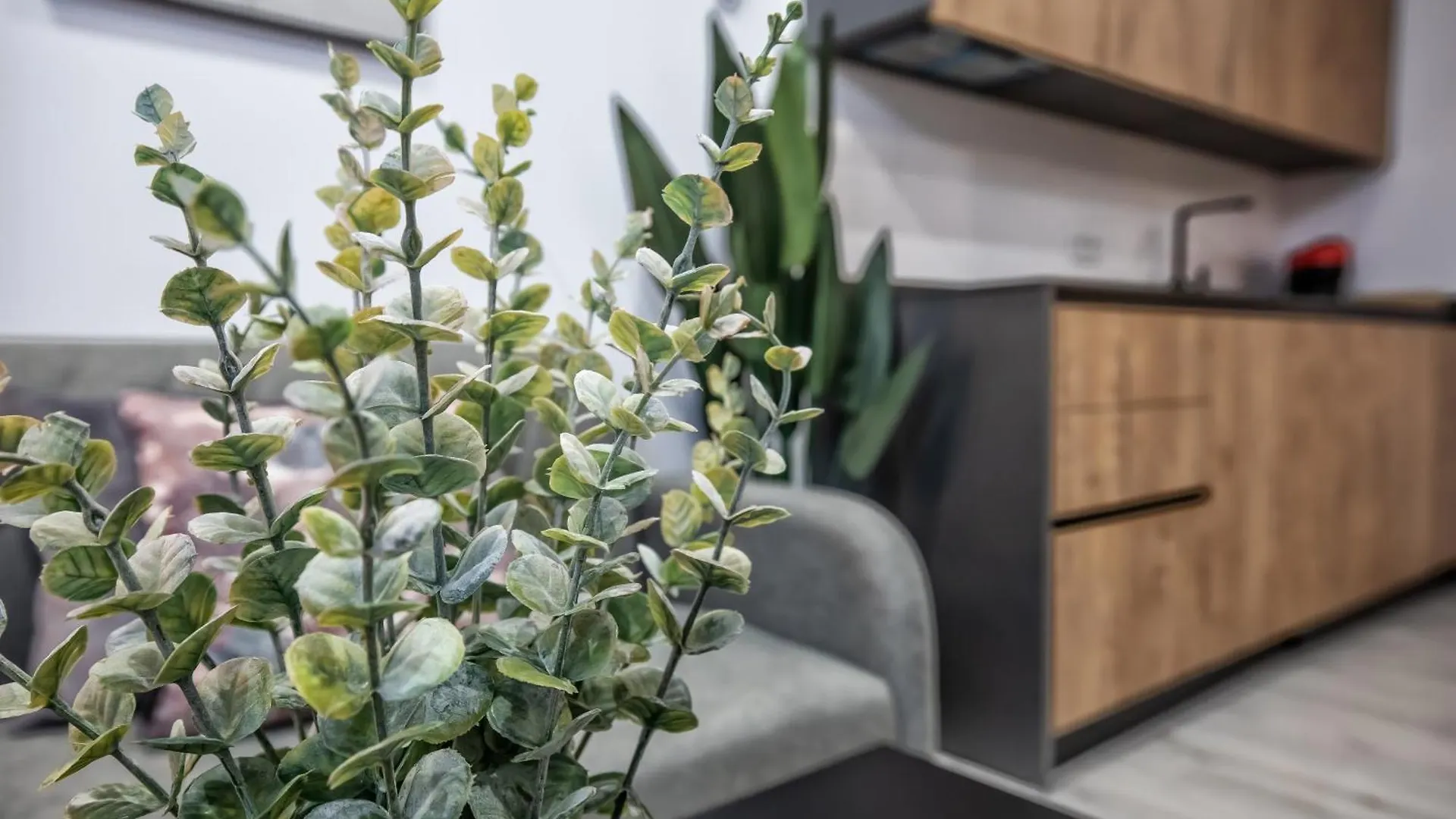 Garesc Lofts Apartment Cordoba